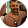 Zenveus founder portrait